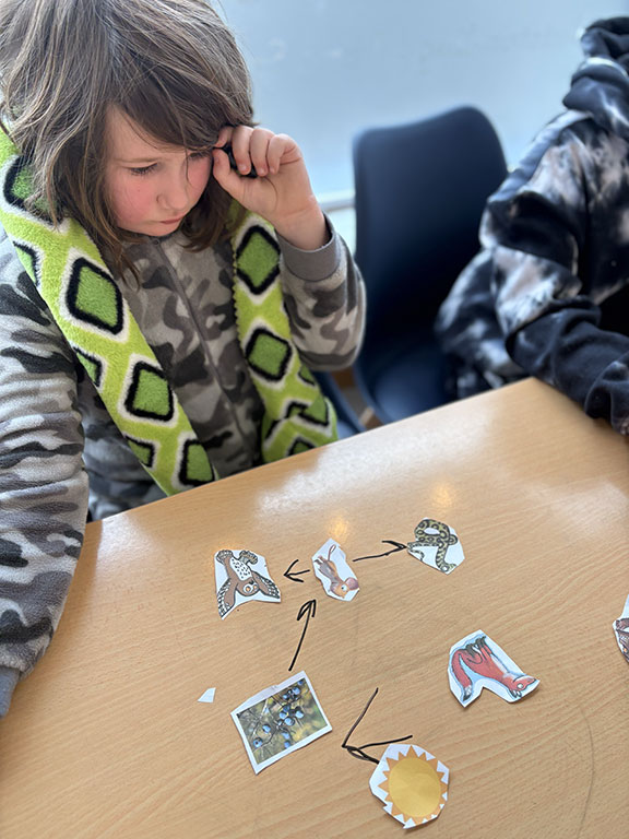 A child arranges picture cards into a sequence during a learning activity